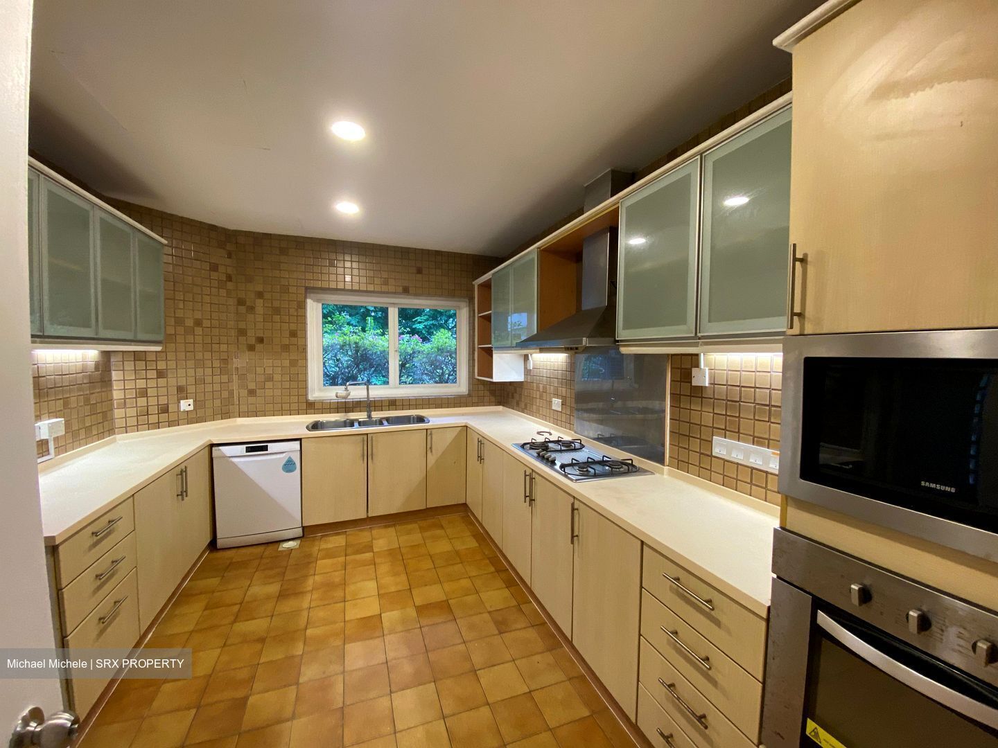 The Arcadia (D11), Condominium #437515381